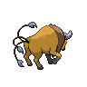Tauros - Black White (Back View)