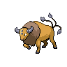 Tauros - Black White (Normal)