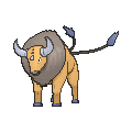 Tauros - X Y (Normal)