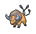 Tauros - Sword Shield
