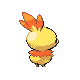 Torchic - Platinum (Back View (Shiny))