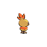 Torchic - Black White (Back View (Shiny))