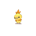 Torchic - Bank (Shiny)