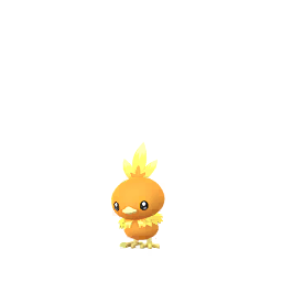 Torchic - GO (Normal)