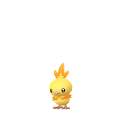 Torchic - GO (Shiny)