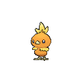 Torchic - X Y (Normal)
