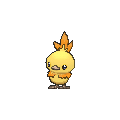 Torchic - X Y (Shiny)