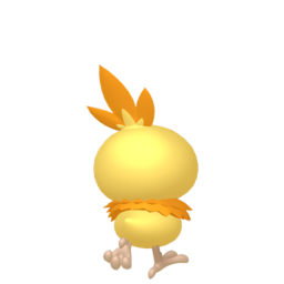 Torchic - Home