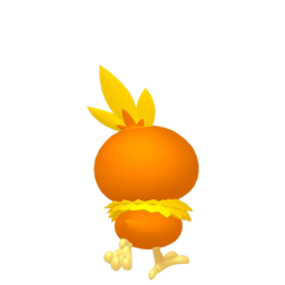 Torchic - Home