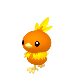 Torchic - Home