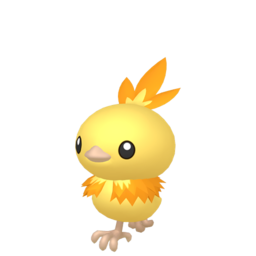 Torchic - Home