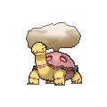 Torkoal - X Y (Shiny)