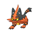 Torracat - Bank (Normal)
