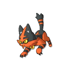 Torracat - Ultra Sun Ultra Moon Sun Moon