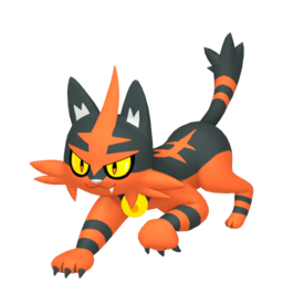 Torracat - Home