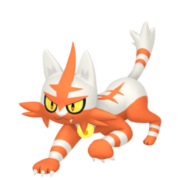 Torracat - Home