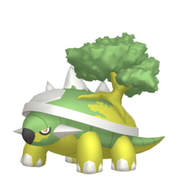 Torterra - Home