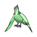 Tranquill - X Y (Shiny)