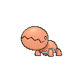 Trapinch - X Y (Normal)