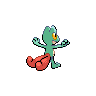 Treecko - Black White (Back View (Shiny))
