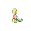 Treecko - Omega Ruby Alpha Sapphire (Normal)