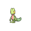 Treecko - X Y (Normal)