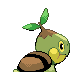 Turtwig - Diamond Pearl (Back View)