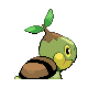 Turtwig - Platinum (Back View)
