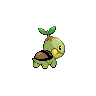 Turtwig - Black White (Back View)