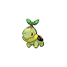 Turtwig - Black White (Normal)