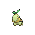 Turtwig - X Y (Normal)