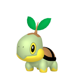 Turtwig - Home