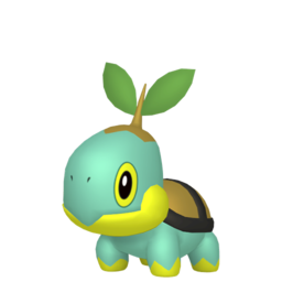 Turtwig - Home