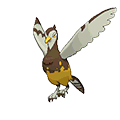 Unfezant - Omega Ruby Alpha Sapphire (Shiny)