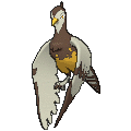 Unfezant - X Y (Shiny)