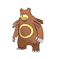 Ursaring - Omega Ruby Alpha Sapphire (Normal)