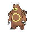 Ursaring - X Y (Normal)