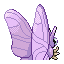 Venomoth - Ruby Sapphire (Back View)