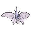 Venomoth - X Y (Normal)