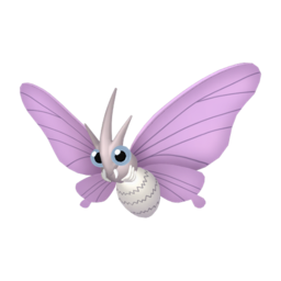 Venomoth - Home