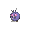 Venonat - X Y (Normal)