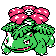 Venusaur - Crystal (Normal)
