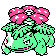 Venusaur - Gold (Normal)