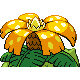 Venusaur - Diamond Pearl (Back View (Shiny))