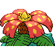 Venusaur - Diamond Pearl (Back View)
