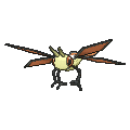 Vibrava - X Y (Shiny)