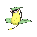 Victreebel - X Y (Normal)