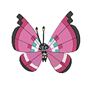 Vivillon - Bank