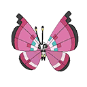 Vivillon - Bank