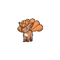 Vulpix - X Y (Normal)